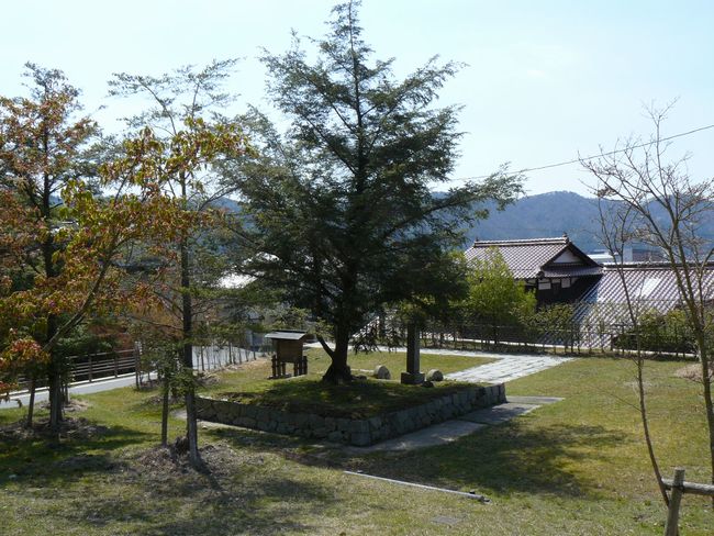 �ї����A�Α���`���n