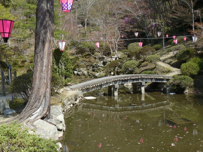 ���T���Ձi�S�R�����j