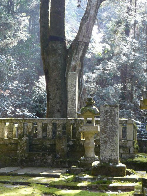 �ї����A�揊