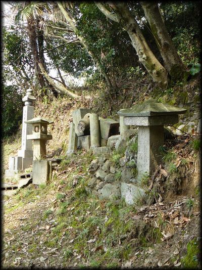 ���㌳�g�̕�