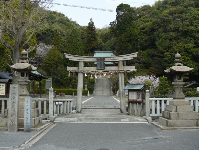 �E�{�����_��