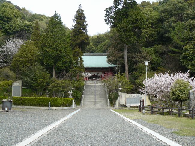 �E�{�����_��