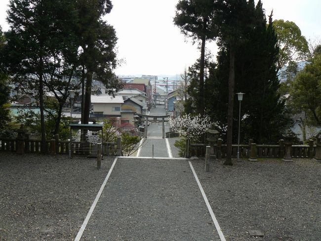 �E�{�����_��