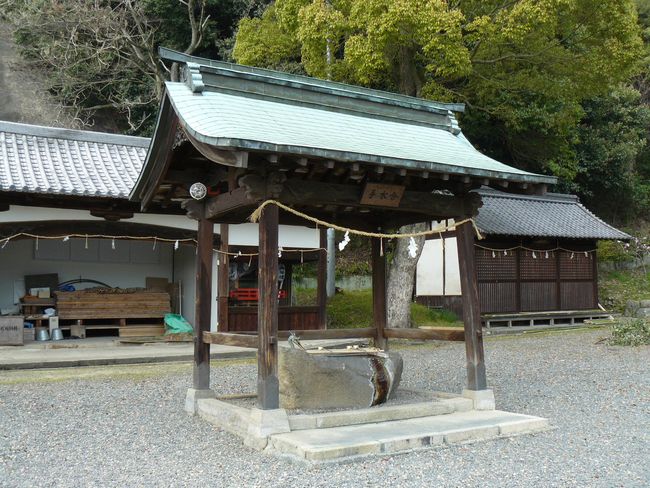 �E�{�����_��