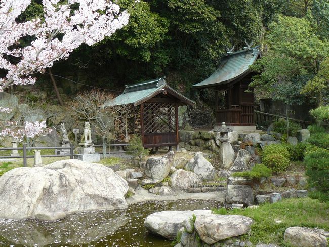 �E�{�����_��