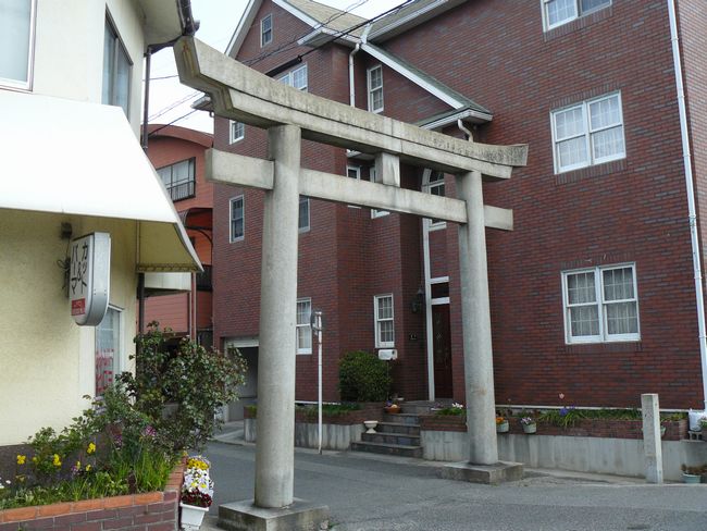 �E�{�����_��