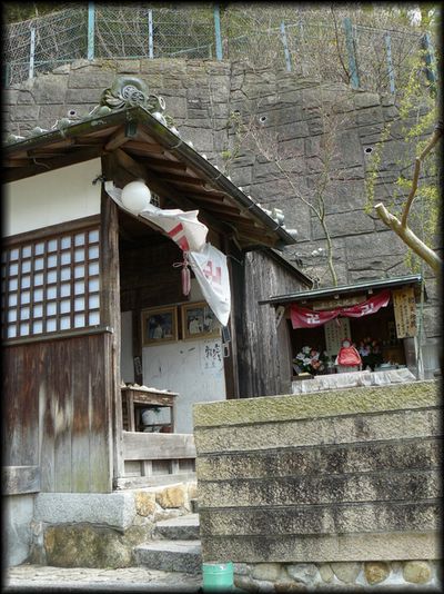 ���������n��