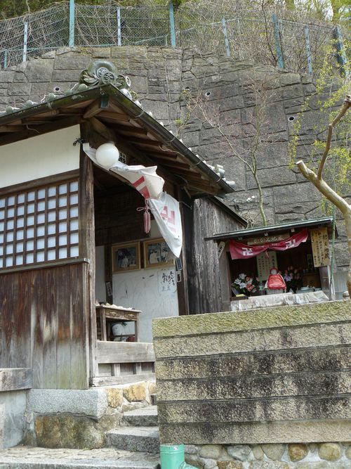 ���������n��