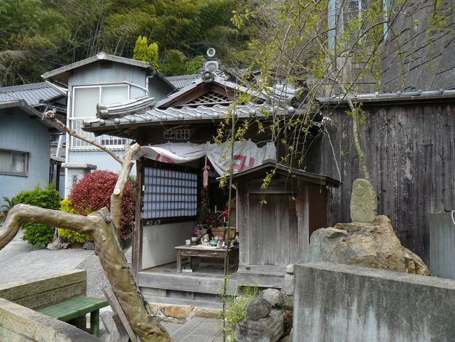 ���������n��