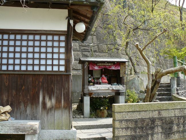 ���������n��