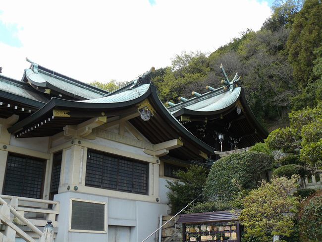 �����O�_��