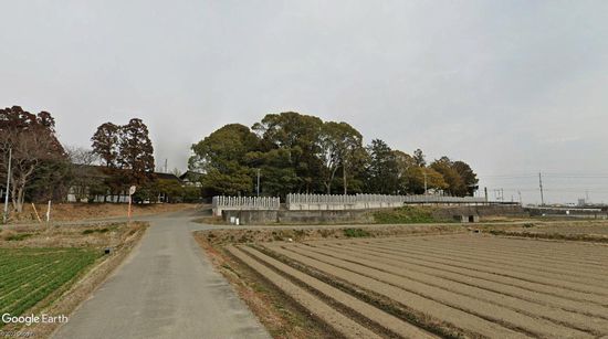 �����V���_��