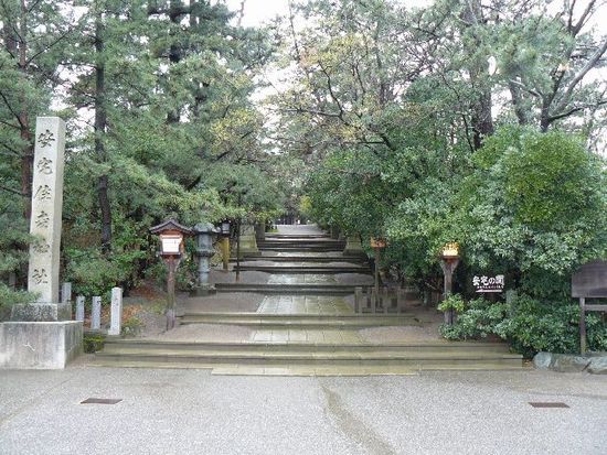 ����Z�g�_��