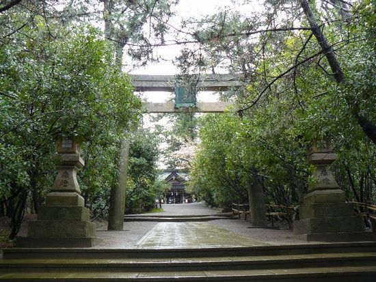 ����Z�g�_��