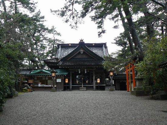 ����Z�g�_��