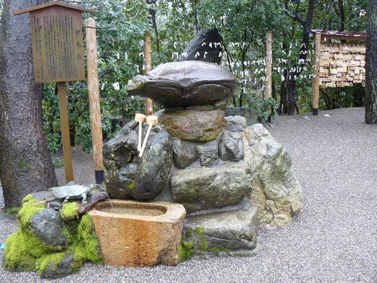 ����Z�g�_��