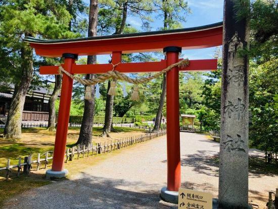 ���V�_��