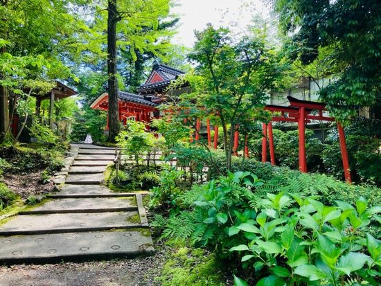 ���V�_��