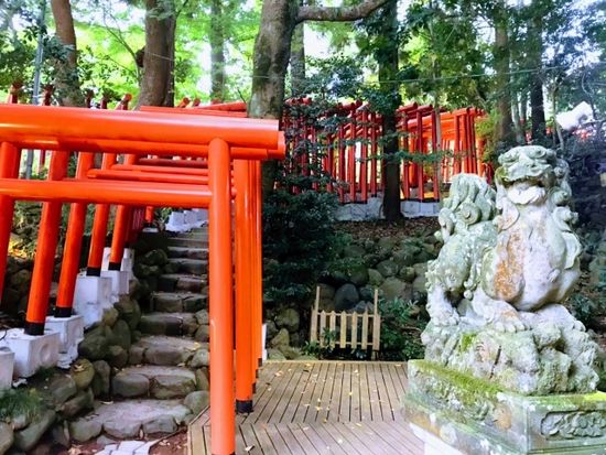 ���V�_��