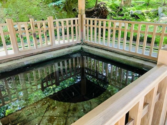 ���V�_��