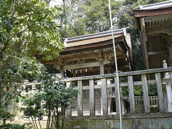 ������Ёi�\�o����{�j