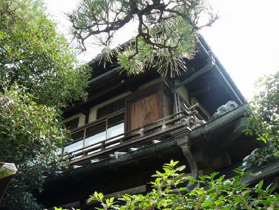 ����ܗ����X�{�X