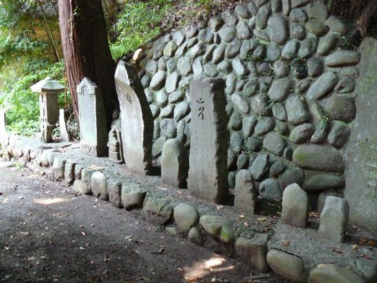 ���_�_��