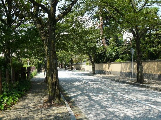 ���c���s