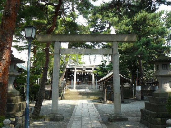 �����_��