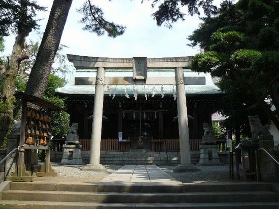 �����_��