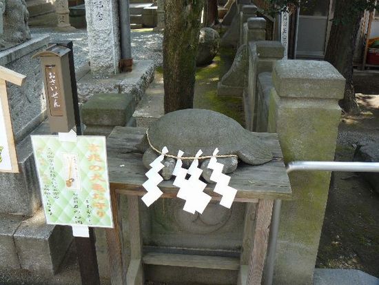 �����_��