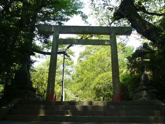 �񓿓�{�_��