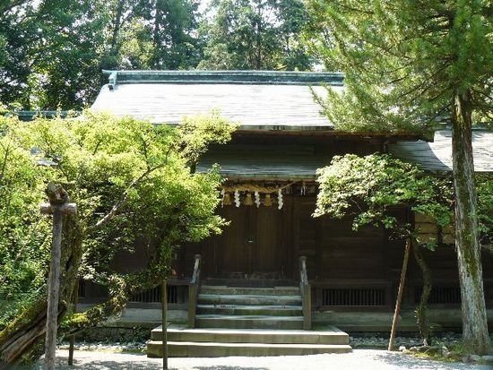 �񓿓�{�_��