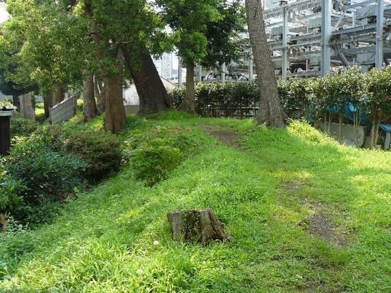 ���c����