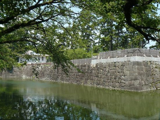 ���c����