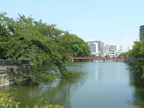 ���c����