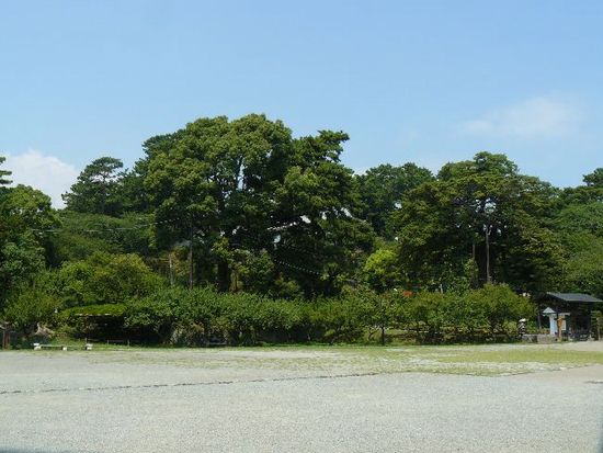 ���c����