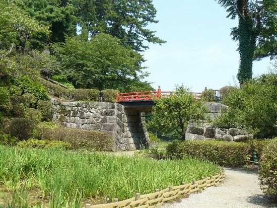 ���c����