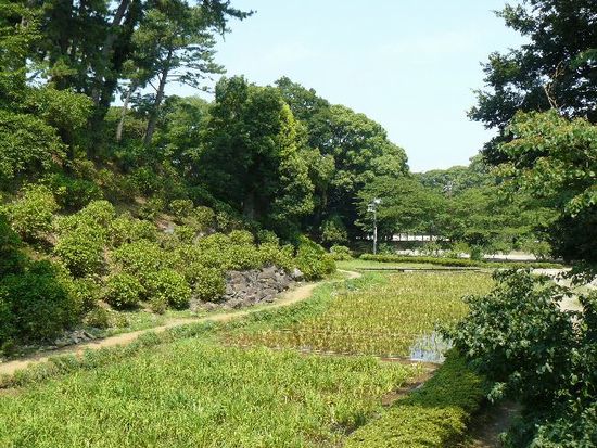 ���c����