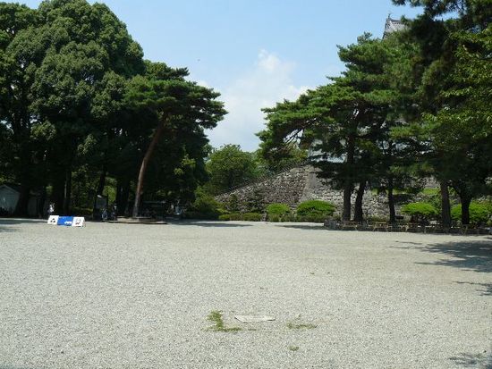 ���c����