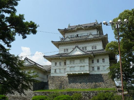 ���c����