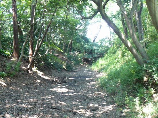 ���c����