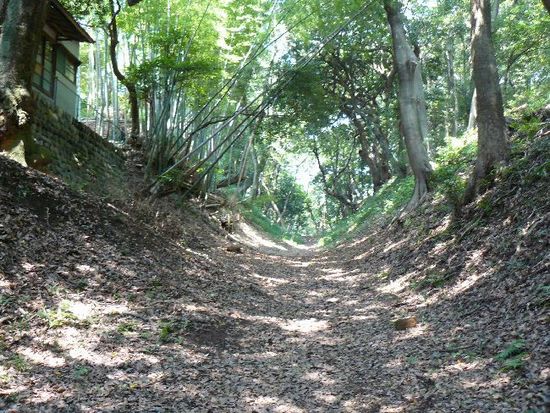 ���c����