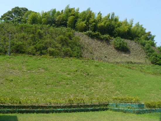 ���c����