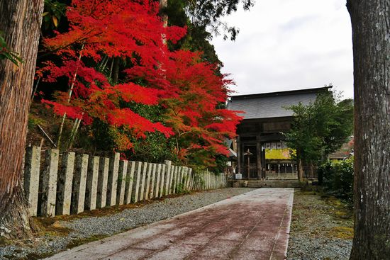 ���C�_��