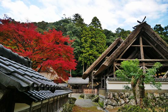 ���C�_��