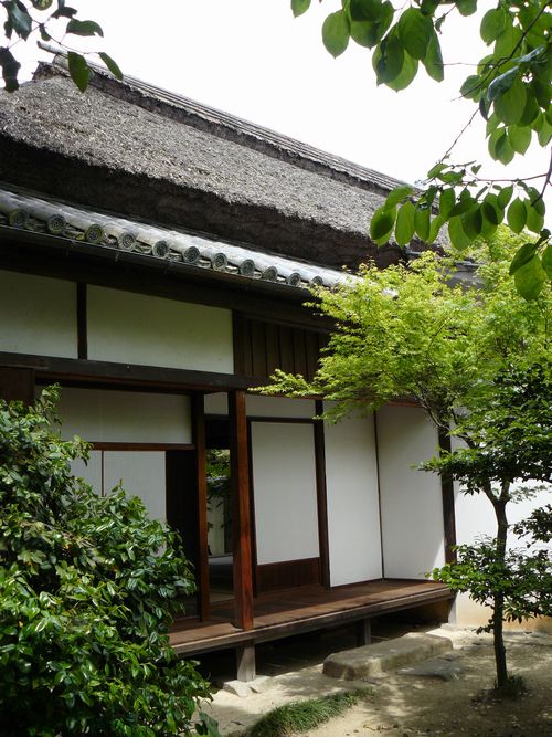 ������ˎ����~��\