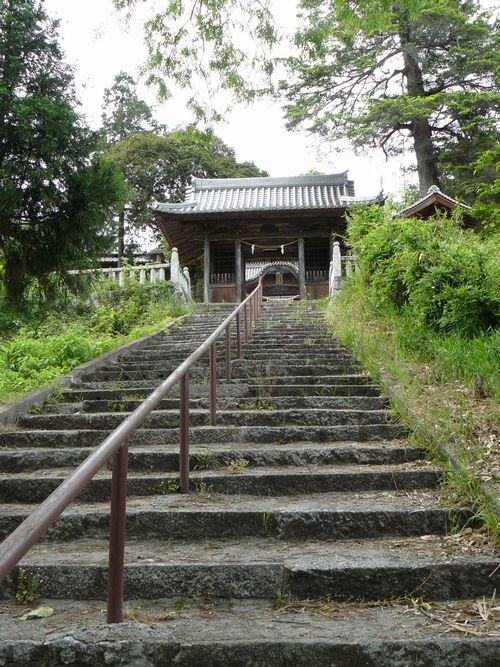 ���甪���{