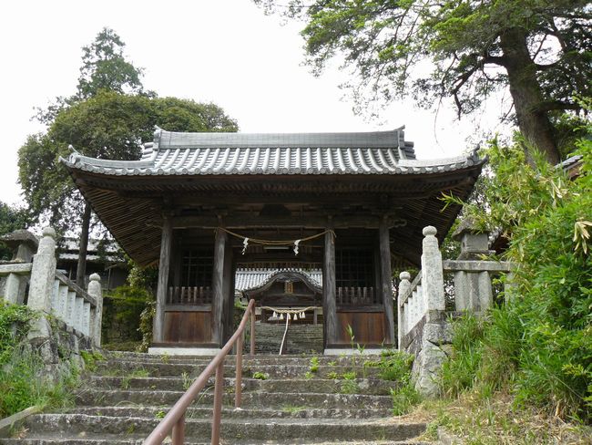 ���甪���{