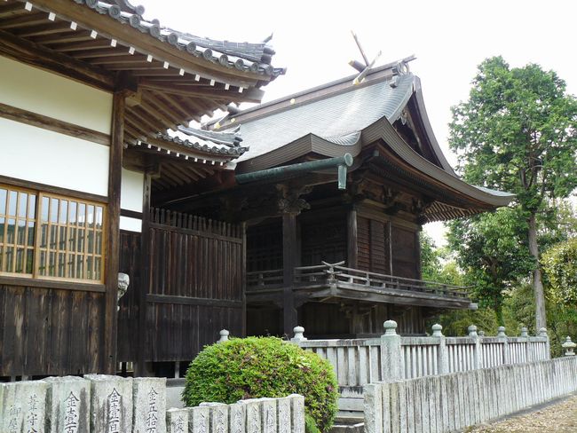 ���甪���{